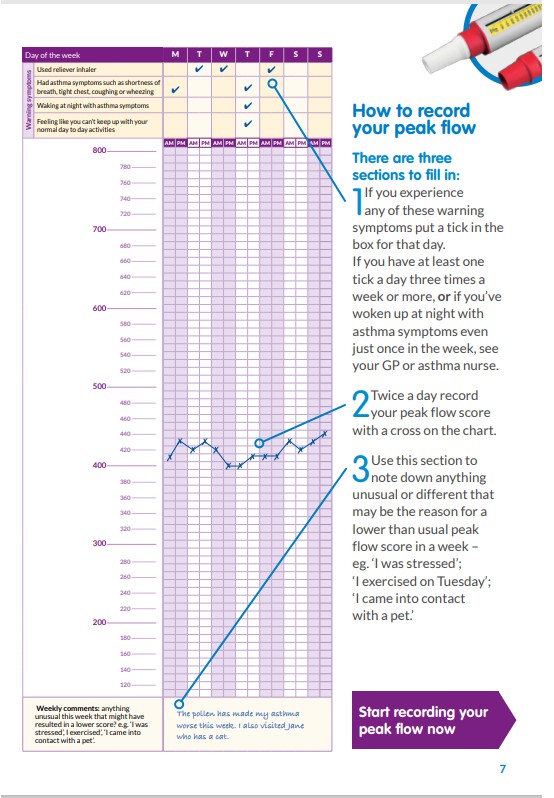 Printable Asthma Peak Flow Chart